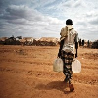 Кенійські єпископи закликають уряд оголосити посуху національним лихом